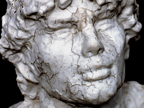 alternate text goes here
